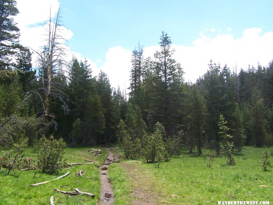 Lembert Dome Trail (proper)