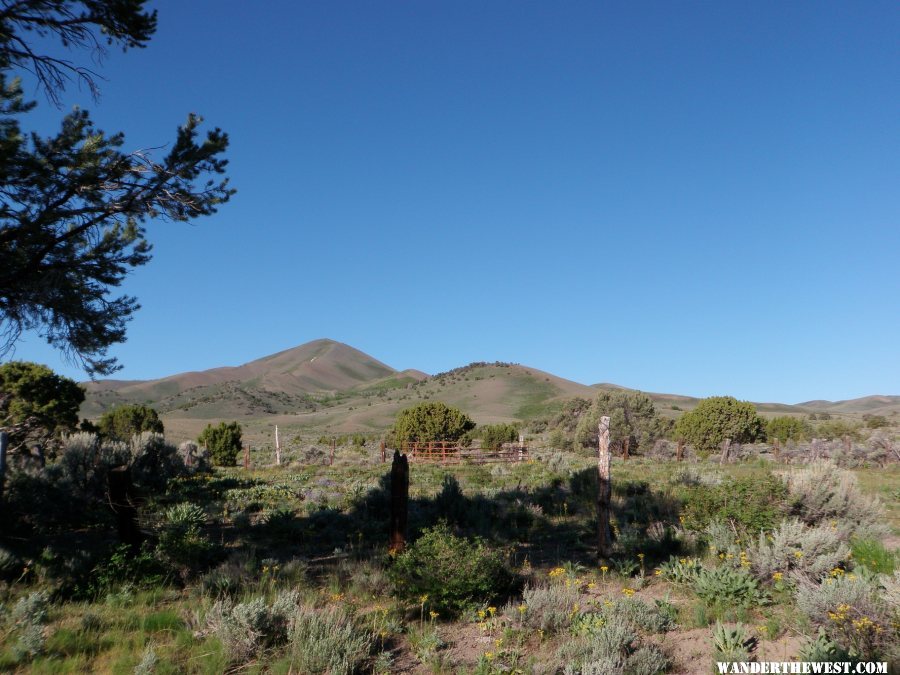 Looking up the Hill nr Austin, NV