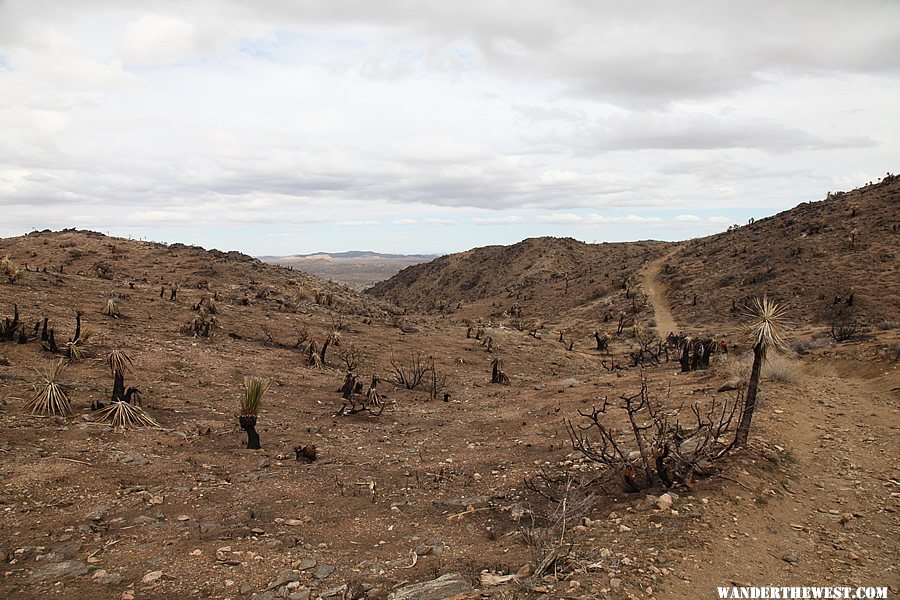 Lost Horse Mine Trail