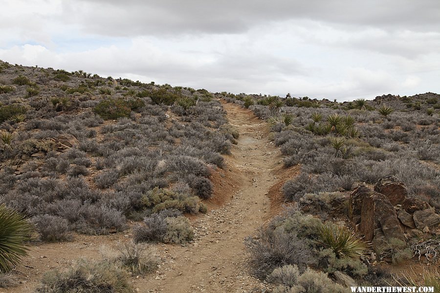 Lost Horse Mine Trail