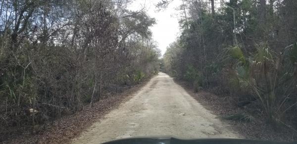 Lost in the Florida Everglades