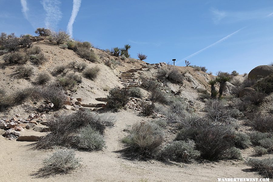 Lost Palms Oasis Trail