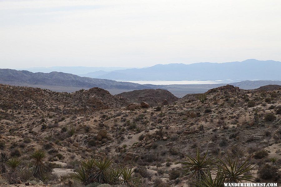 Lost Palms Oasis Trail