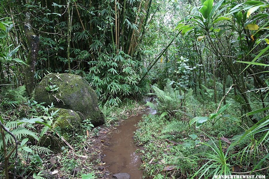 Lots of Mud - Hanakapi`ai Falls Trail