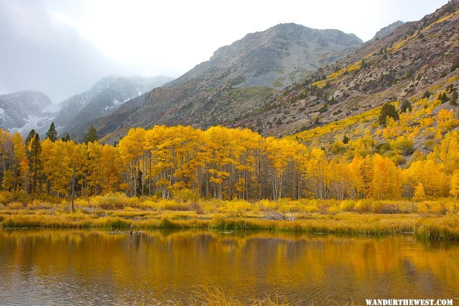 Lundy Canyon