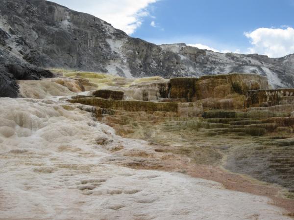 Mammoth Hot Springs