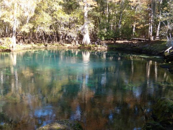 Manatee Springs