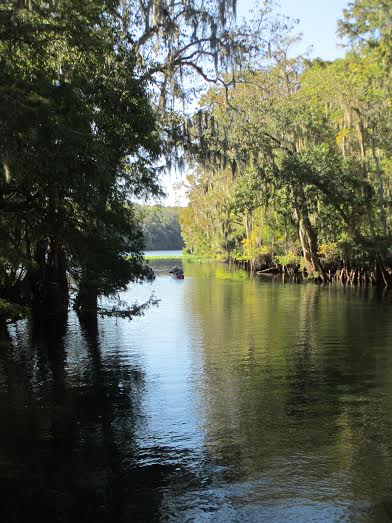 Manatee_Springs_spring_run21