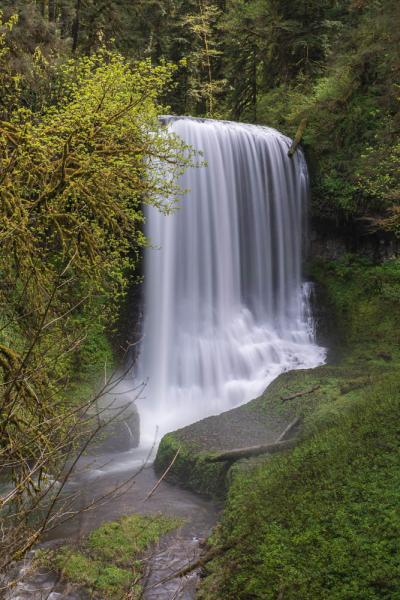 Middle North Falls, Silver Falls State Park, OR