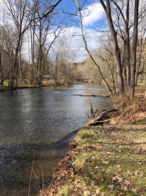 Mohican State Park Campground (MSPC) looking west up the Clear Fork Branch of the Mohican River. Saw two trout fishermen this late November day.