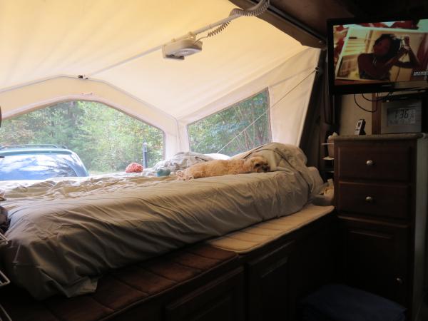 Molly likes my bunk in the Roo. I added memory foam bathmats to ledge in front of the bunk. Easier for her to jump up & less chance I will bruise my l