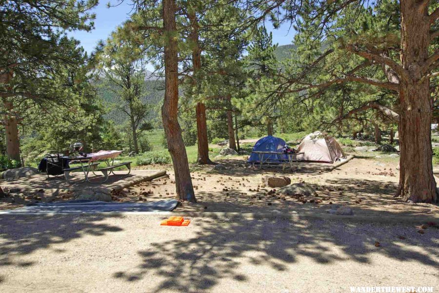 Moraine Park Campground--RMNP