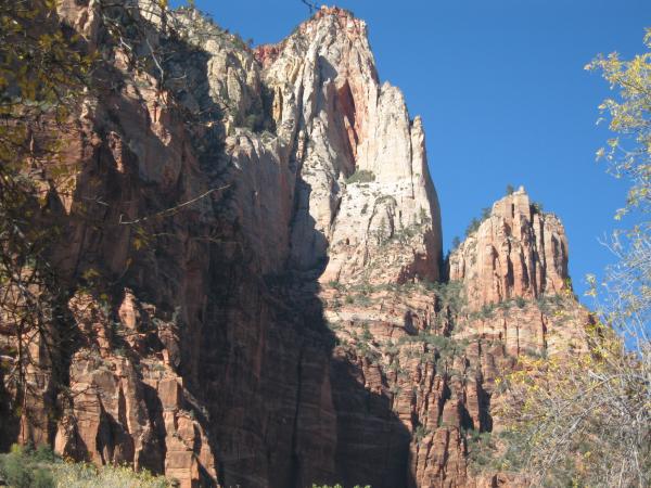 More of Zions