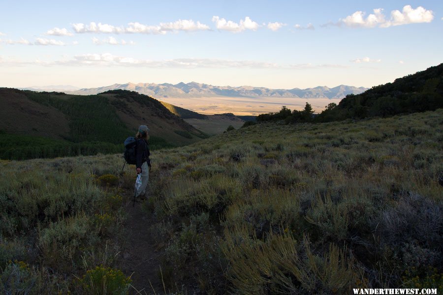 Morning Light in the Reese River Valley