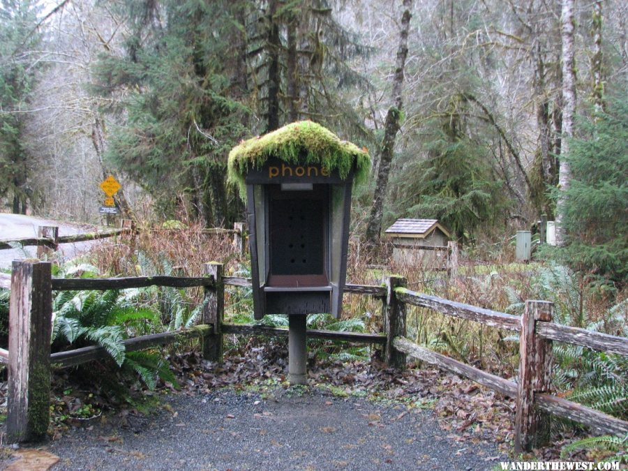 Mossy phone booth