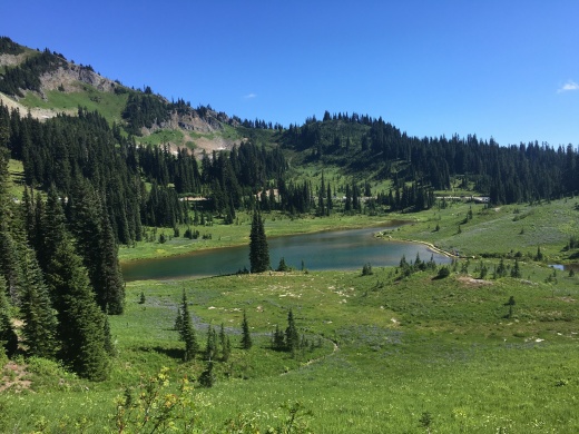 Mount Rainier Park, WA