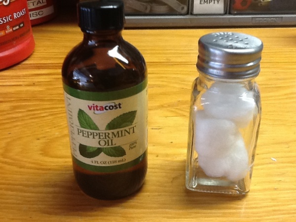 Mouse protection.  One tablespoon peppermint oil in three cotton balls in a salt shaker.