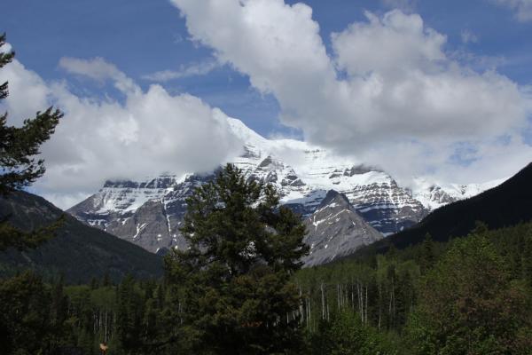 mt robson