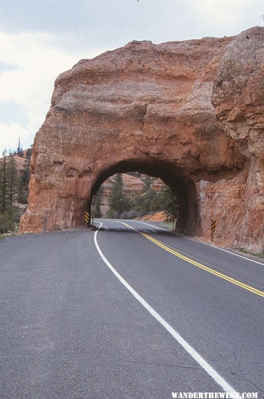 My First Trip To Zion