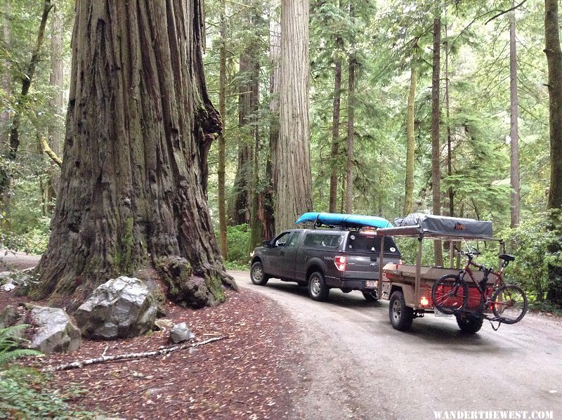 My setup last year in Redwood NP