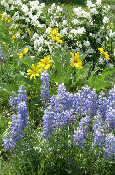 Nature Bouquet