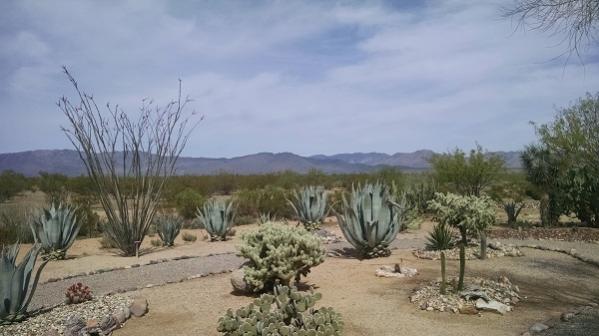 Nice walk trail at Escapees Campground; Congress, AZ