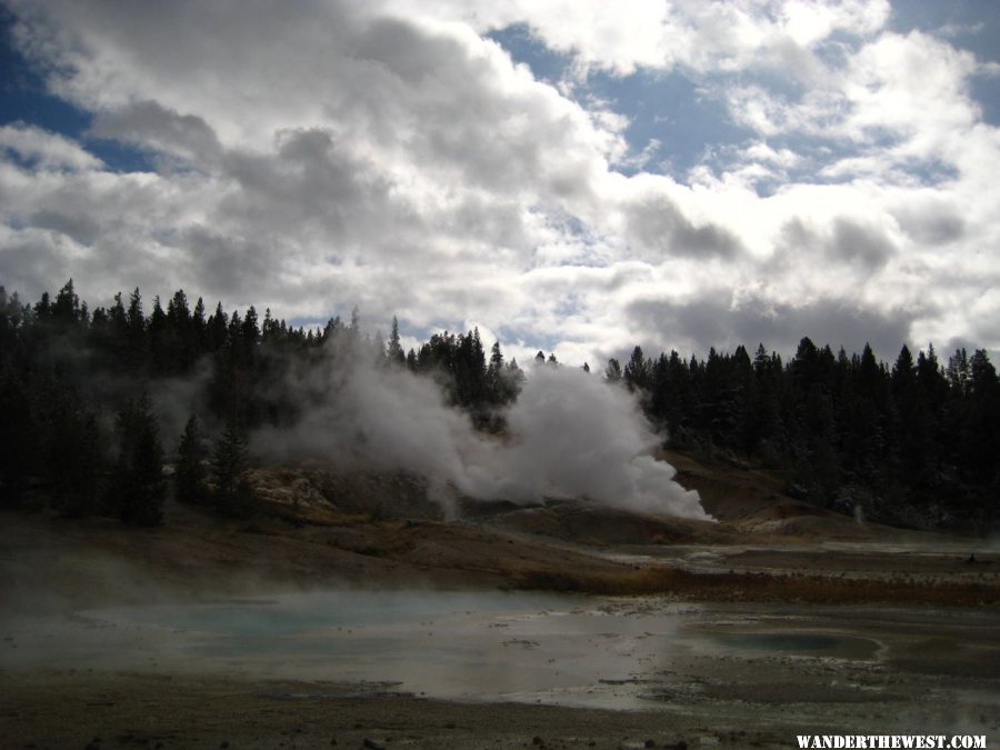 Norris Geyser Basin area