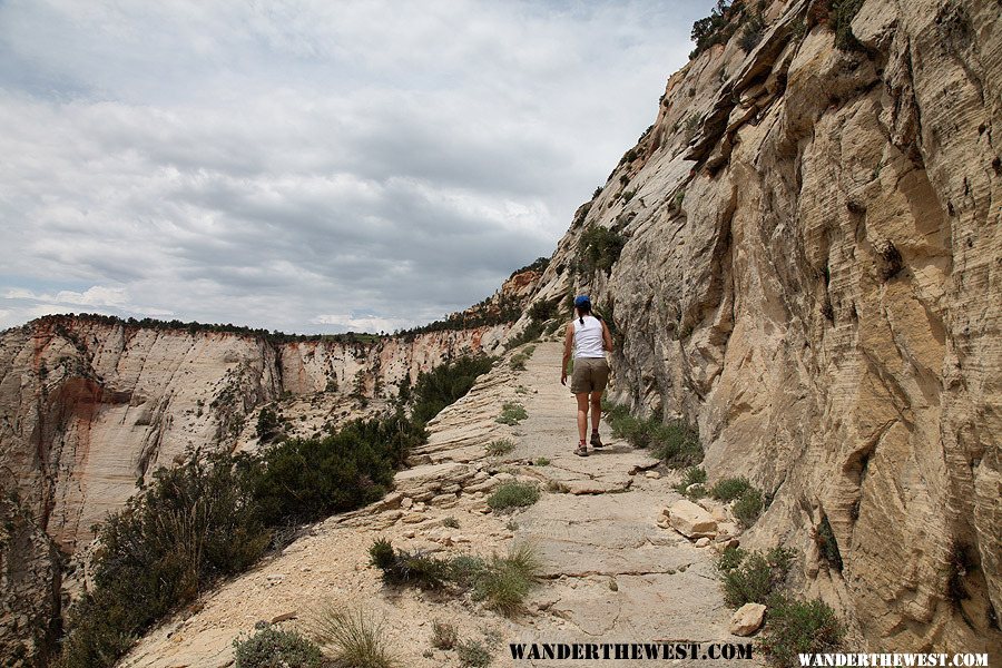 Observation Point Trail, Zion National Park