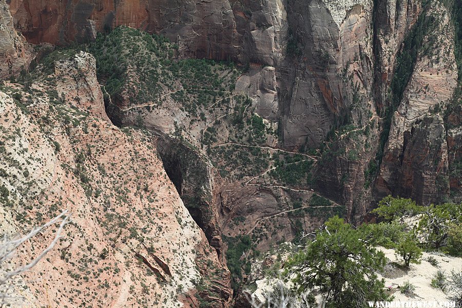 Observation Point Trail - Zion National Park