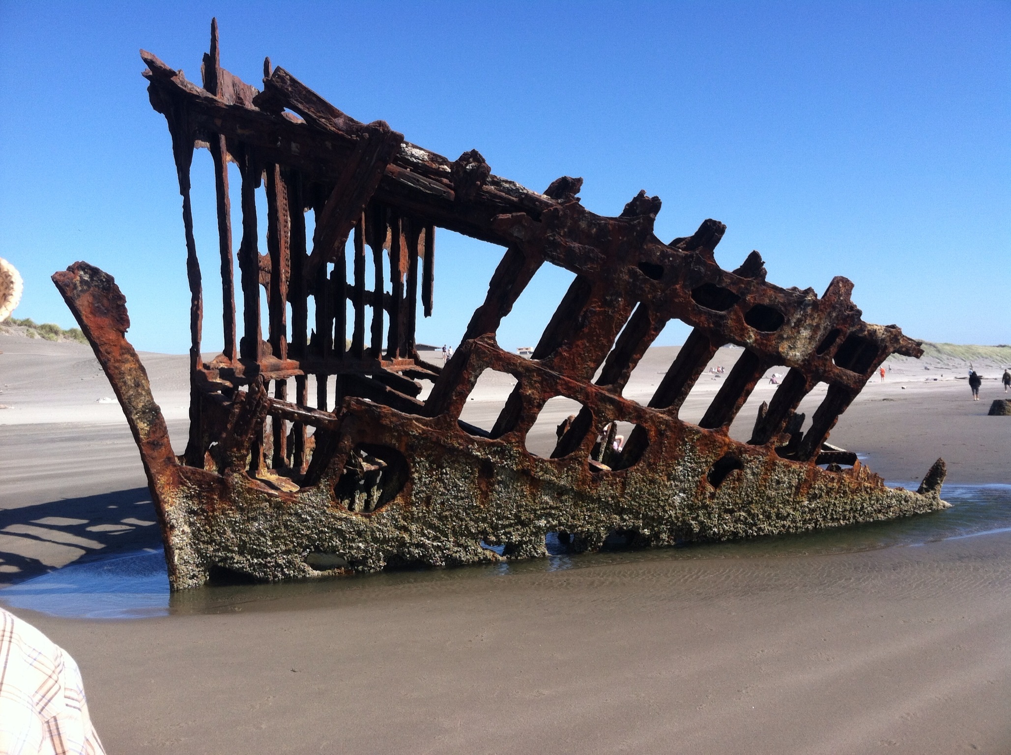 Old shipwreck Astoria OR