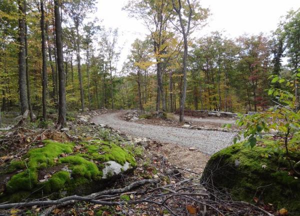 One of the two driveways looking toward the street.  Looks just like a campground road.