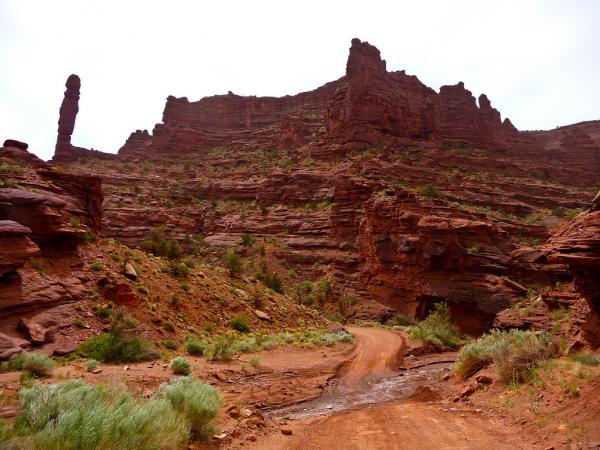 Onion Creek Trail.