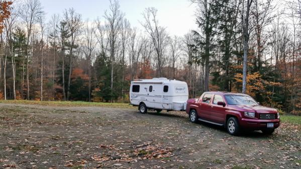 Ossian State Forest, NY.