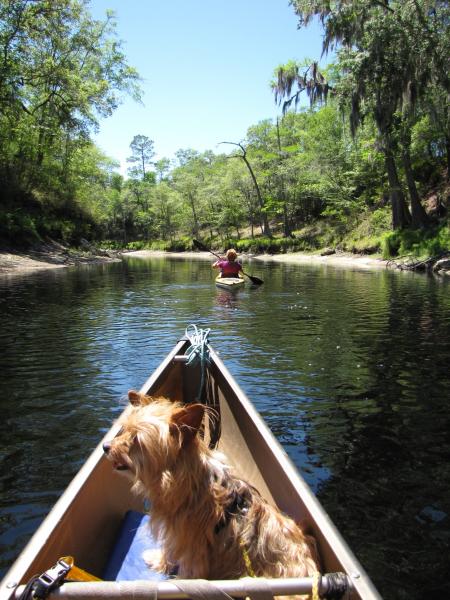 Paddling down the Suwannee River.