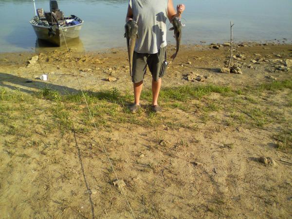 Patoka Lake, Indiana catfish   July 4th 2012