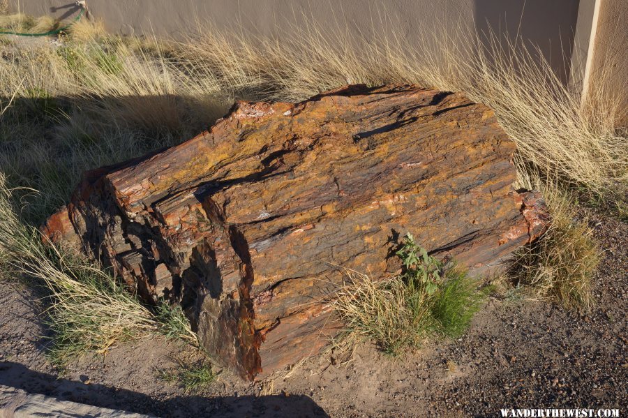 Petrified log