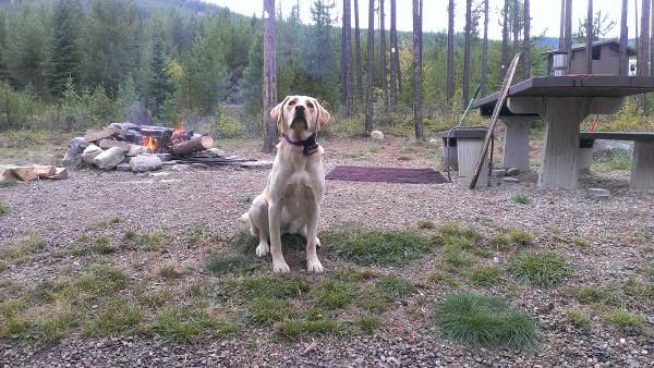 Photo hog Bailey at MacGregor Lk. Last trip on 9/22/13