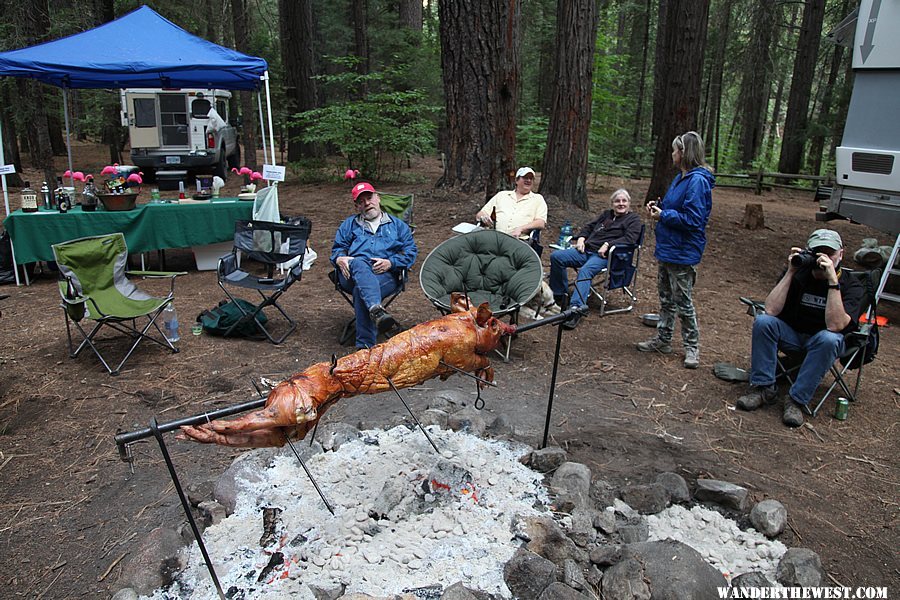 Pigpit with bar in view