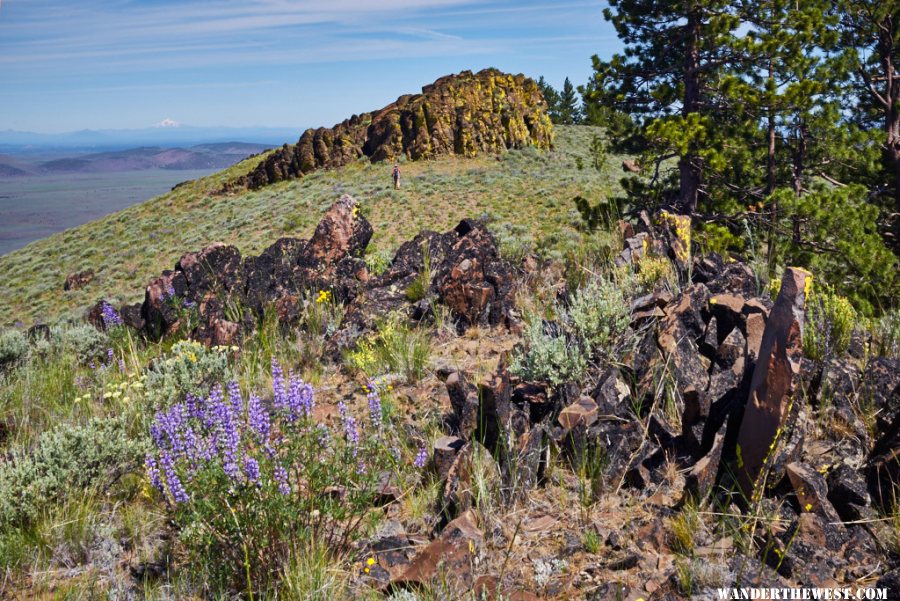 Pine Mountain Littlerock June 2015