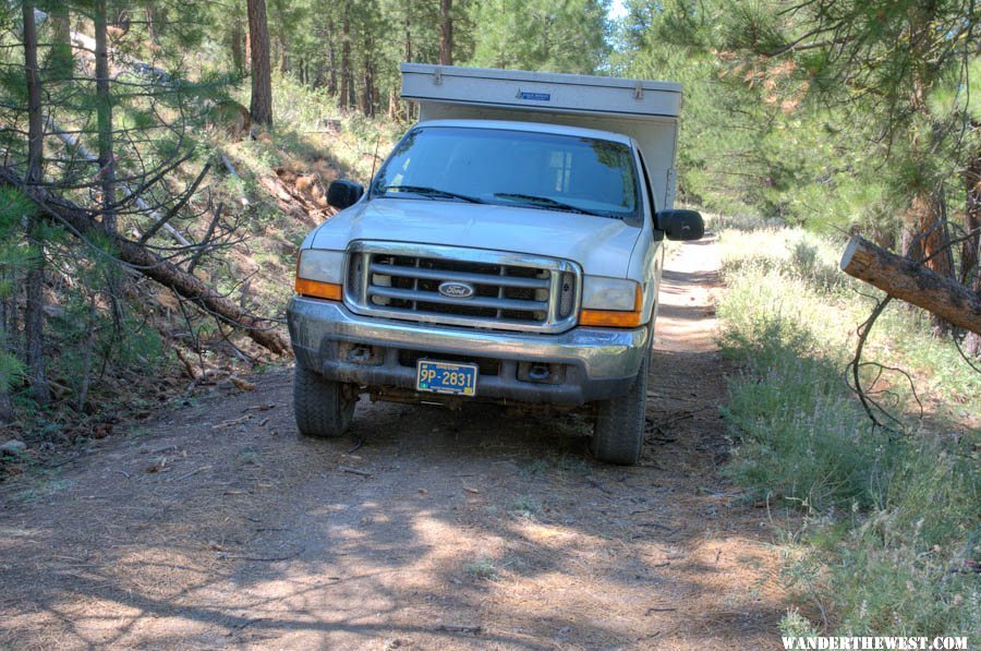 Pine Mountain Traverse: Downed tree removed