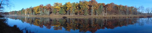 Pinery Provincial Park .... a true Gem in our Ontario Parks system, especially after the crowds are gone for the season