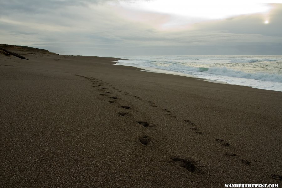 Point Reyes Beach as the Storm Subsides