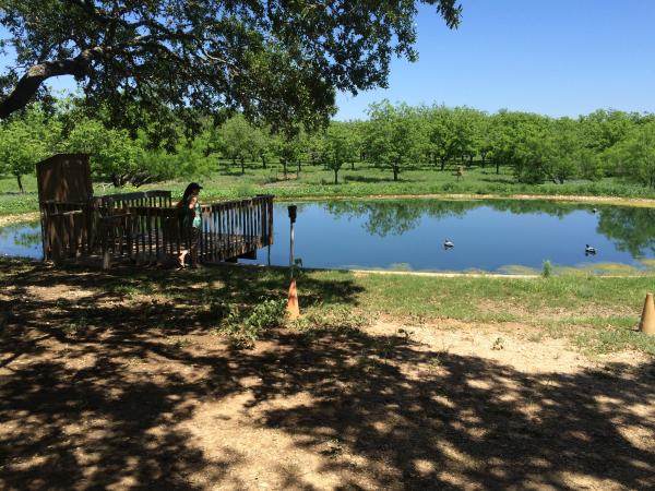 Pond near Medina River, Bandera TX