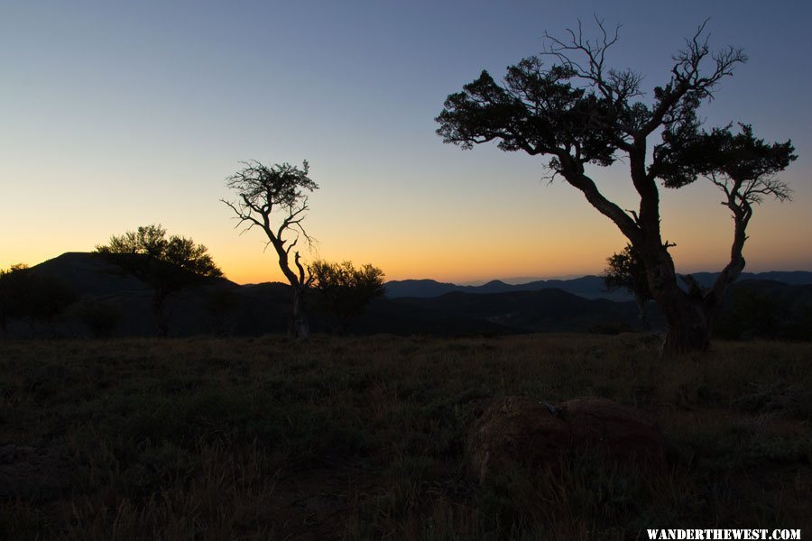 Pre Dawn Glow