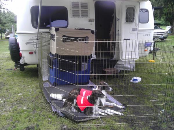 Pretty sweet set up for the dogs, except for the mud!