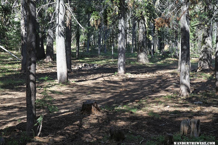 Primitive campsite at Dismal Swamp