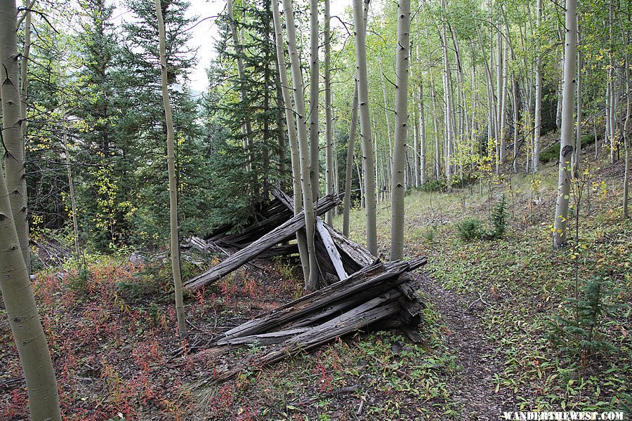 Prospector's Cabin - Alpine Gulch Trail