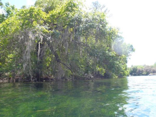 Rainbow River State Park 4/6/13