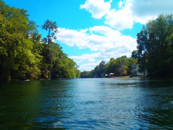 Rainbow River State Park 4/6/13