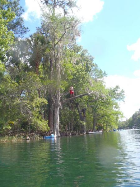 Rainbow River State Park 4/6/13